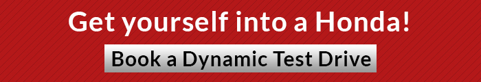 Dynamic_TestDrive